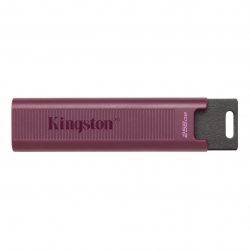 USB флаш памет KINGSTON 256GB USB3.2 TypeA DataTraveler