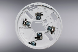 related-product-322143