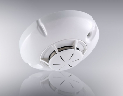 related-product-322147