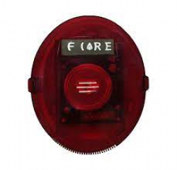 related-product-322156