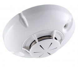 related-product-322172