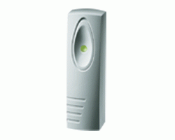 related-product-322228