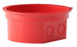 related-product-322338