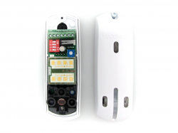 related-product-322440