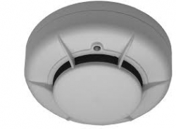 related-product-322551