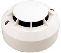 related-product-322782