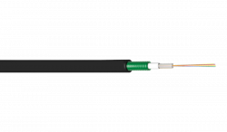 related-product-323415
