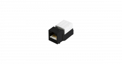 related-product-323447