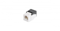 related-product-323449