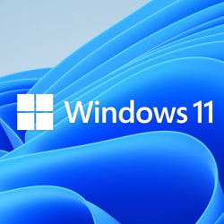 Софтуер Windows 11 Home 64bit USB Retail Eng