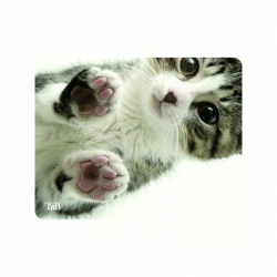 related-product-344036