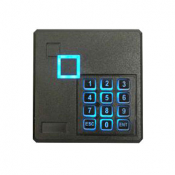 related-product-348883