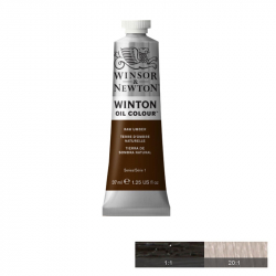 Канцеларски продукт Winton Маслена боя, Raw Umber, 37 ml