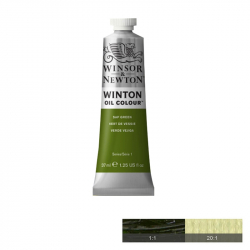 Канцеларски продукт Winton Маслена боя, Sap Green, 37 ml