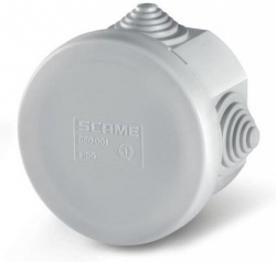 related-product-351824