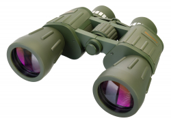 related-product-353009