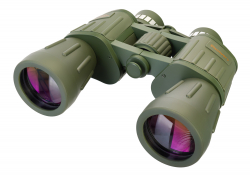 related-product-353010