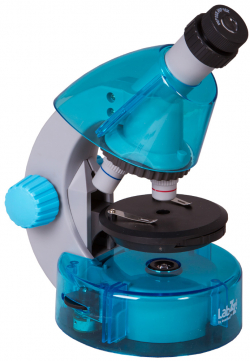 related-product-353034