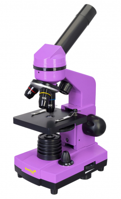 related-product-353035