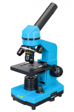 related-product-353036