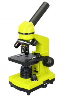 related-product-353037