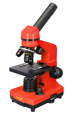 related-product-353039