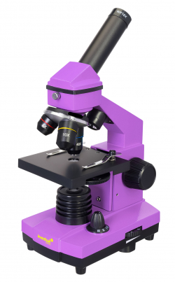 related-product-353040