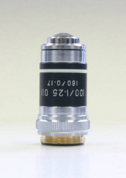related-product-353355