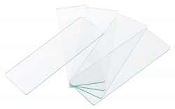 related-product-353528