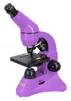 Микроскоп Микроскоп Levenhuk Rainbow 50L PLUS