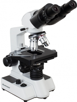 Микроскоп Микроскоп Bresser Researcher Bino
