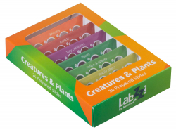 Комплект подготвени проби от живи същества и растения Levenhuk LabZZ CP24