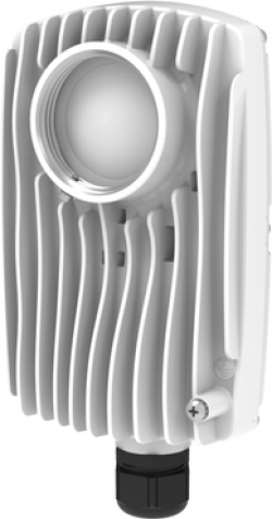 related-product-356365