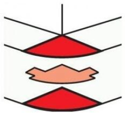 related-product-358707