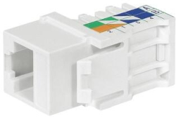 related-product-358921