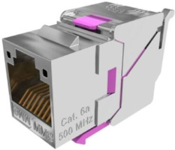 related-product-358931