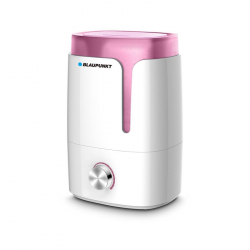 related-product-363407