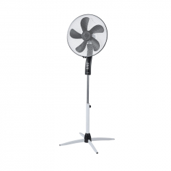 related-product-363413