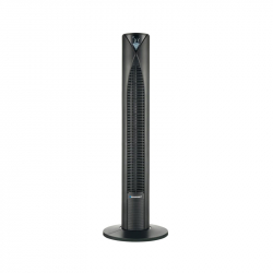 related-product-363414