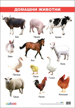 related-product-365919