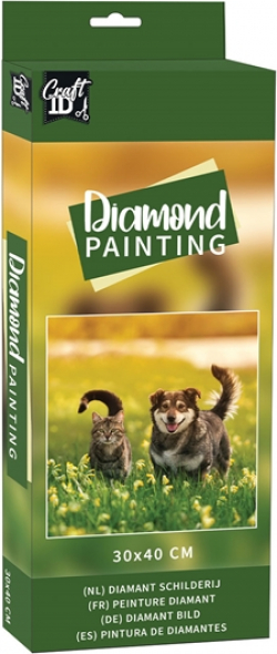 Craft ID Рисуване с мъниста - Котка и куче, 30 х 40 cm