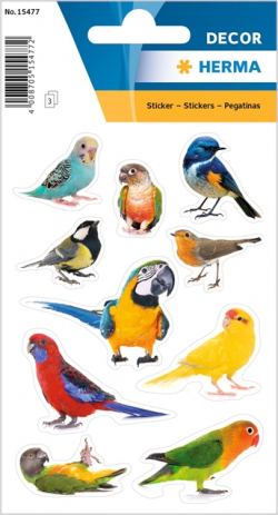 related-product-377344