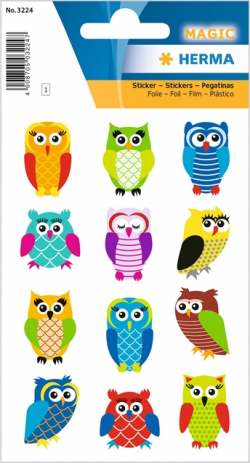 related-product-377345