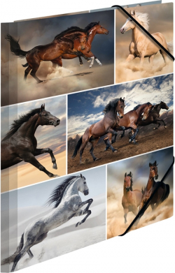 Herma Папка Animals, картонена, с ластик, A4, коне