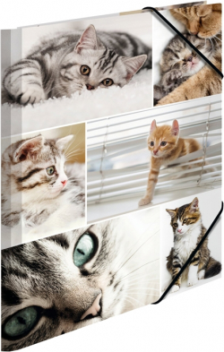 Канцеларски продукт Herma Папка Animals, картонена, с ластик, A4, котки