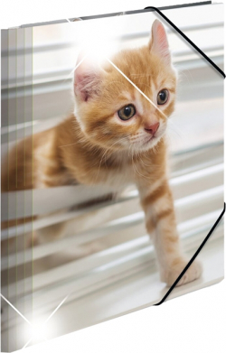 Канцеларски продукт Herma Папка Animals, картонена, с ластик, A4, PP, котки
