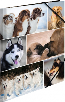 Канцеларски продукт Herma Папка Animals, картонена, с ластик, A4, кучета