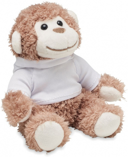 related-product-379281