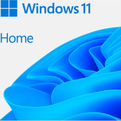 Софтуер Microsoft WIN HOME 11 64-bit All Languages Online Product Key License 1 License Downloadable ESD NR