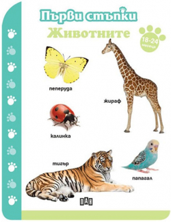related-product-386866